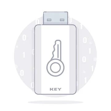 Usb key flash drive. Digital signature. Stock Illustration