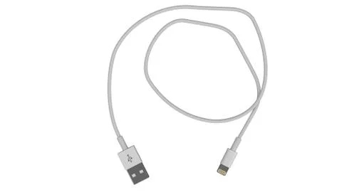 USB Lightning cable Illustrazione stock