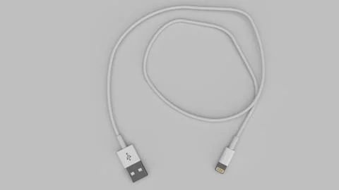 USB Lightning cable Ilustración de archivo