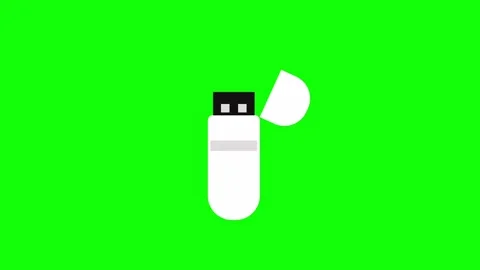 USB Pen Drive Green Screen Animation. Data Storage Device. Stock-Footage 313595186