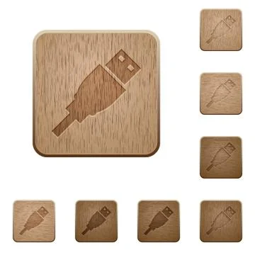 USB plug wooden buttons Illustrazione stock