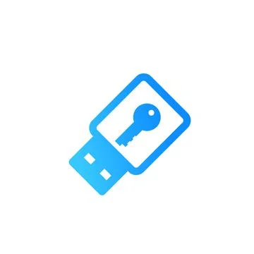 Usb stick security key icon on white Stock Illustration
