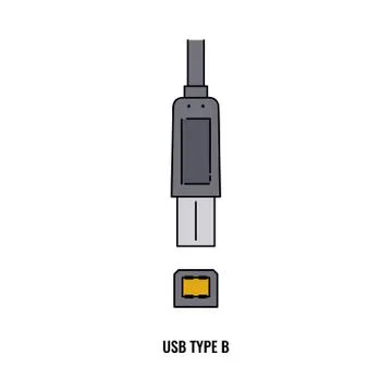 USB type B cable and plug connector isolated on white background Stock Illustration