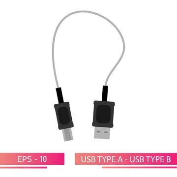 USB type A - USB type B, adapter, extension cable. On a white background. Flat Stock Illustration