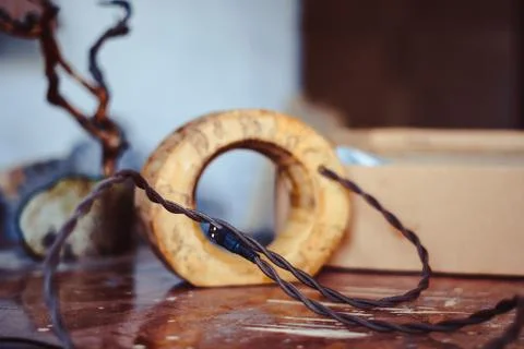 The usb wire in the tree 库存照片