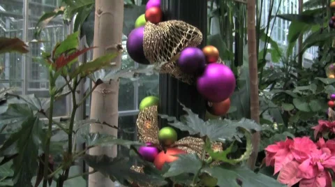 Usbg decorated tree pan up silent 15s Stock Footage 597227