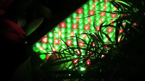 Usbg holiday lights under tree silent 10s Stock Footage 597261