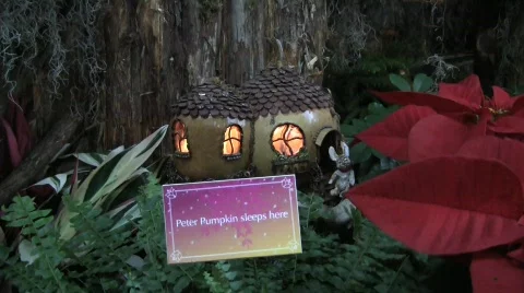 Usbg peter pumpkin train 20s Stock Footage 597306