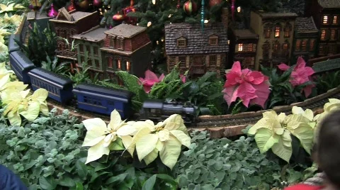 Usbg train children tree pan up silent 18s Stock Footage 597340