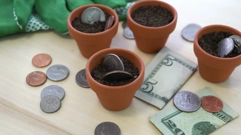 USD Growing Money in Pots Concept Stock Footage 86598366