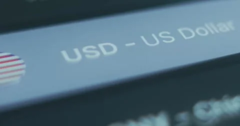 USD, US Dollar, choosing main currency for personal finance app Stock Footage 313353431