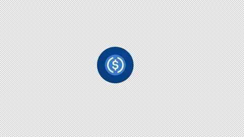 USDC USD Coin Cryptocurrency Logo Animation – Editorial Use Only Stock Footage 315350265