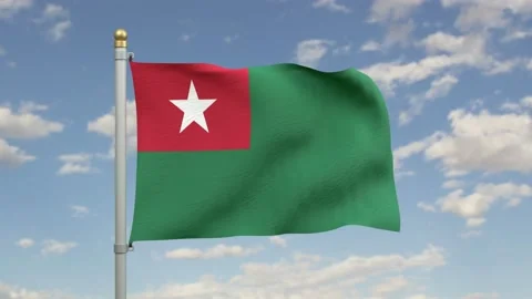 USDP Flag Animation Stock Footage 138725353