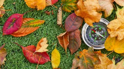 Use Compass In The Forest Stock Photos