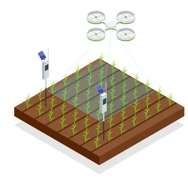Use of a drone to control crop growth, hydration of mail and pests. Agriculture Stock Illustration
