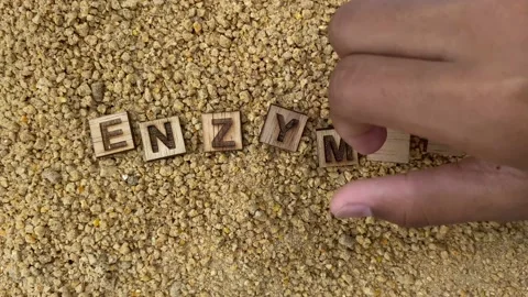 Use Enzymes in Animal feed Stock Footage 203763152