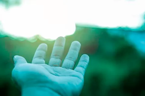 Use hand to touch the sun light in the morning, Pick up the sun flare light,  Foto stock