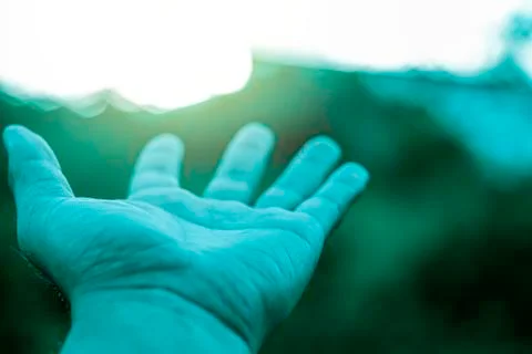 Use hand to touch the sun light in the morning, Pick up the sun flare light,  Foto stock