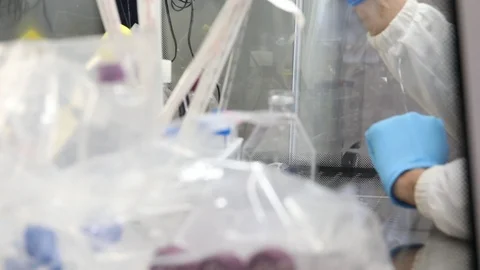 Use of human cancer cells for the study of anticancer drugs Stock Footage 127473990