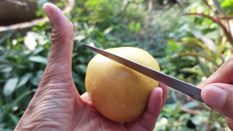 Use a knife to cut the apple Stock Footage 260156112