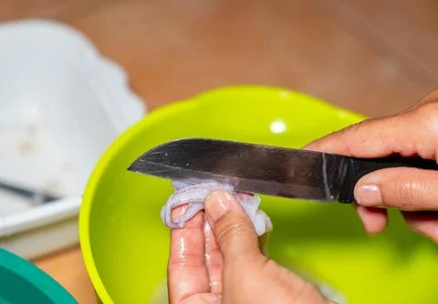 Use a knife to cut open the squid and remove the eyes before cooking. Stock Photos