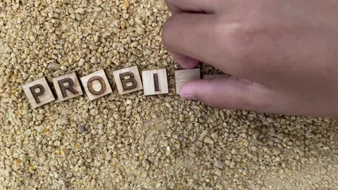 Use Probiotics in Animal feed. Stock Footage 203764684