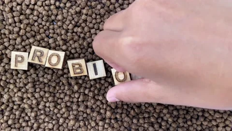 Use Probiotics in Fish and shrimp feed. Stock Footage 203764716