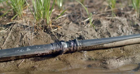 Use rubber bands to tie the joints between the hoses.There is water leaking. Stock Footage 317756765