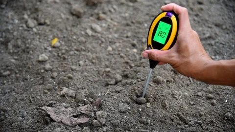 Use soil PH meter for check the PH value Vidéo 117533050