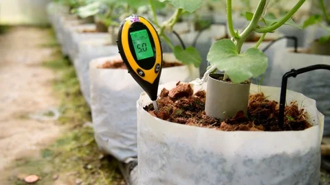 Use soil PH meter for check the PH value Stock Footage 129955943
