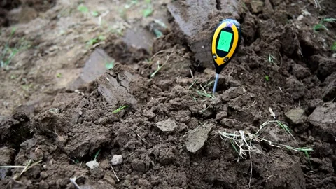 Use soil PH meter for check the PH value Stock Footage 253194685