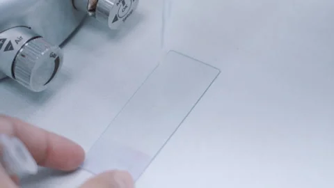 Use syringe drop white solution to microscope cover glass in laboratory close up Stock-Footage 158917157