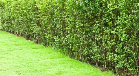 Use the wall. Stock Photos