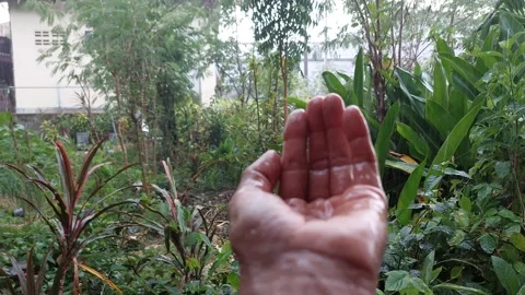 Use your hands to catch rainwater Stockbeeldmateriaal 292413183
