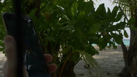Use your mobile phone during a sea vacation on a tropical beach while sitting in Stock Footage 89994331