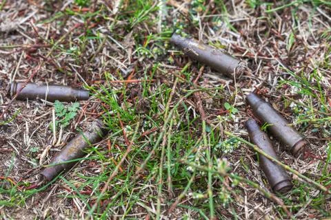 Used ammunition on grass. Stock Photos