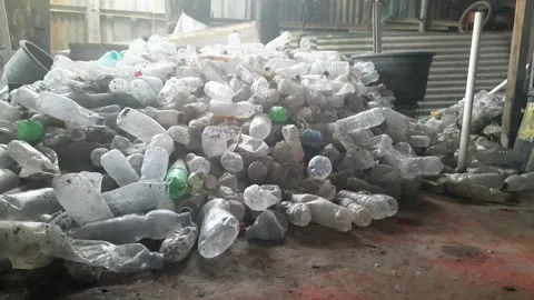 Used bottle waste Stock Footage 313596809