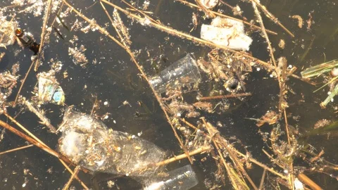 Used bottles and plastic cup contaminating lake, water pollution Stock Footage 89606328