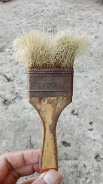 Used brush 写真素材