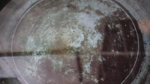 A used bucket full of moss filled with clear water Stock Footage 296148985