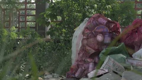 Used cans, collected for recycle Video stock 132116578