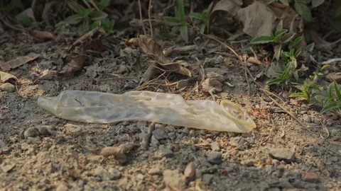 Used condom disposed of in public. Stock Footage 328206127