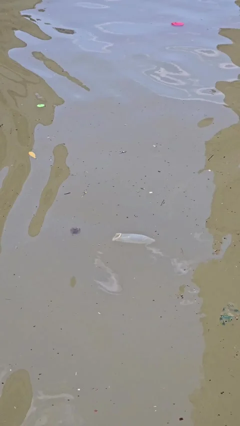 A used condom floating over the floodwater Stock Footage 273689121