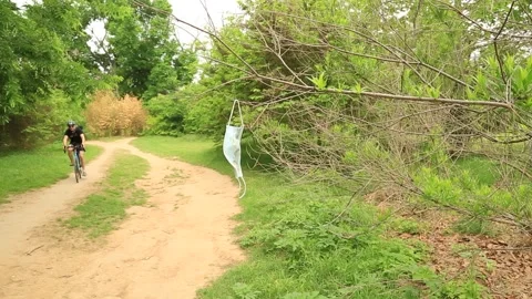 Used Covid Mask hanging in tree Video stock 152183255