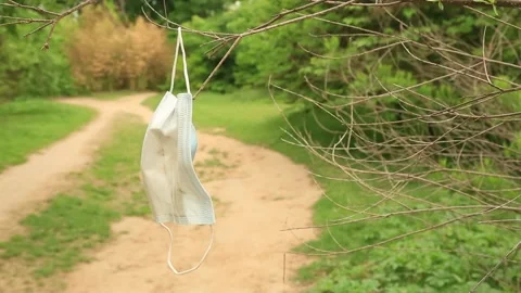Used Covid Mask hanging in a tree Video stock 152183257