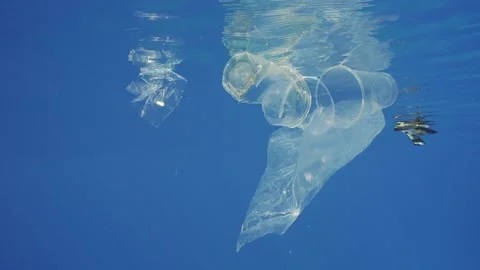 Used disposable plastic cups and bags floating under surface on blue water  Stock Footage 236104321
