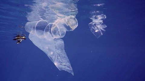 Used disposable plastic cups and bags floating under surface on blue water on Stock Footage 247400128