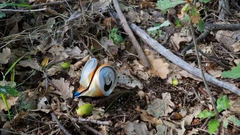 Used Drink can discarded on forest ground ecosystem,pollution nature environment Stock Footage 220462382