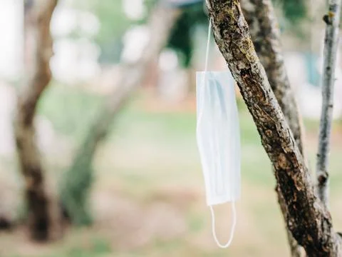 A used face mask hangs from a tree branch. Stock Photos