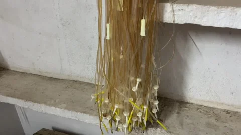 Used IV Drip Set Tubes | Medical Waste Plastic Collection Stock Footage 316400548